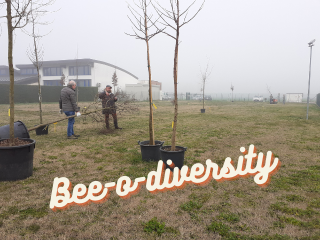 Bee-o-diversity: un parco per le api