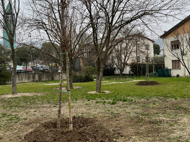 Piantumazioni: messa a dimora per 22 nuovi alberi