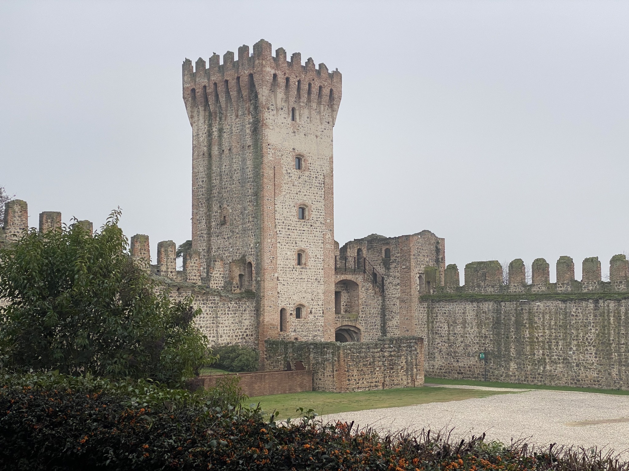 FORO BOARIO: al via la riqualificazione