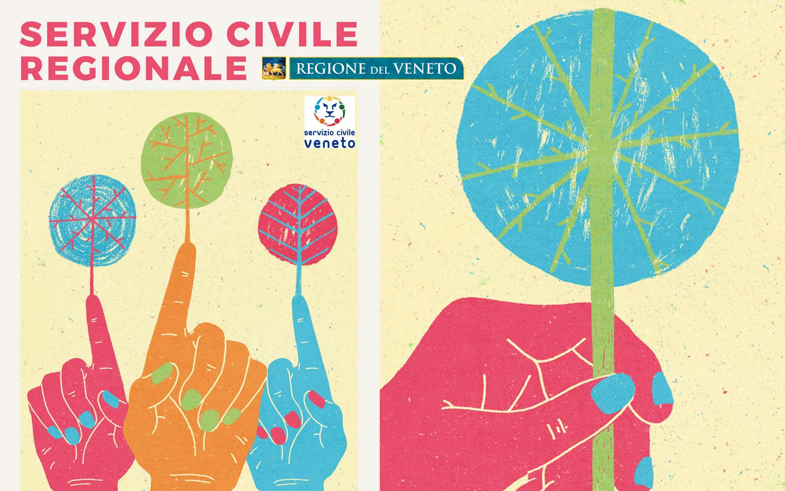 Servizio Civile Regionale: online le graduatorie DEFINITIVE