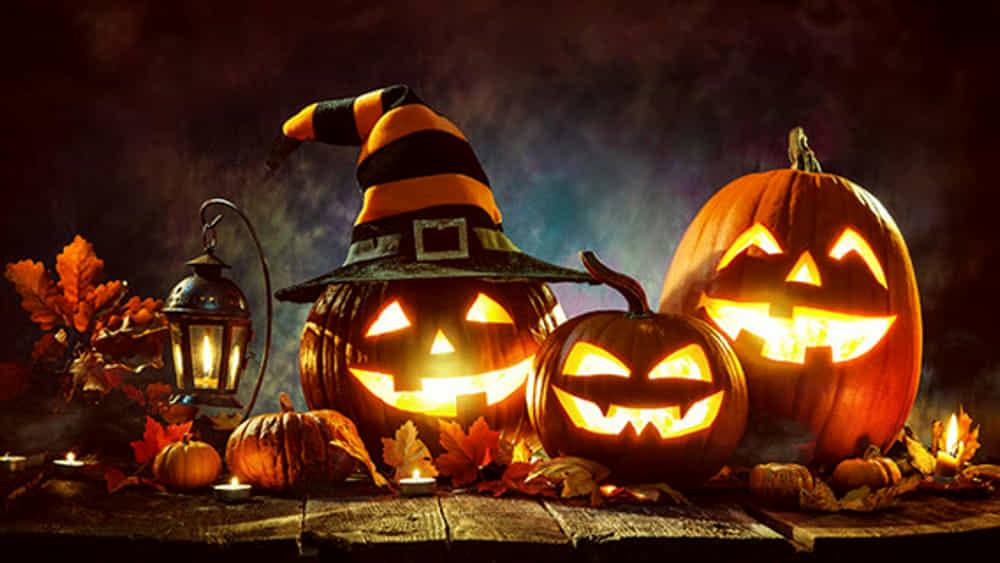 Halloween 2021 - tutti gli eventi in programma