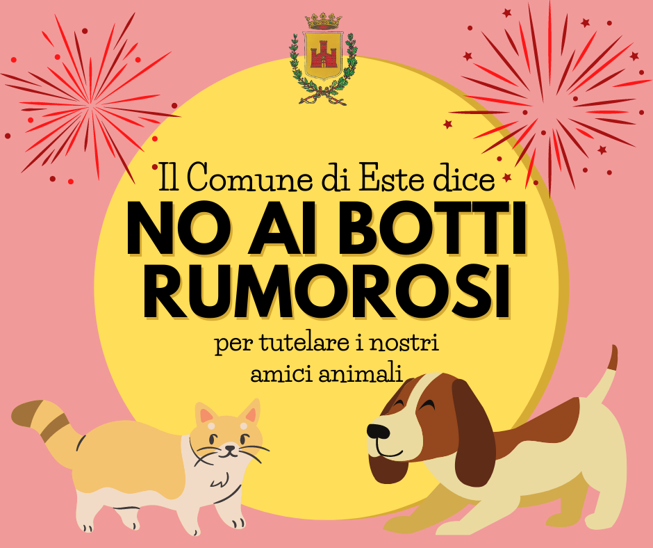 NO ai botti rumorosi a Capodanno - Ordinanza del Sindaco