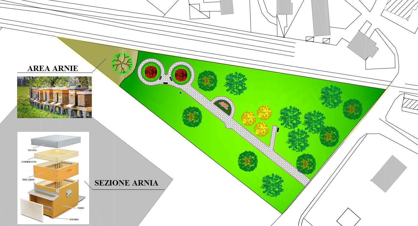 Avviso pubblico per manifestazione di interesse per l'apicoltura in una parte di area all'interno del parco cittadino di via Zuccherificio