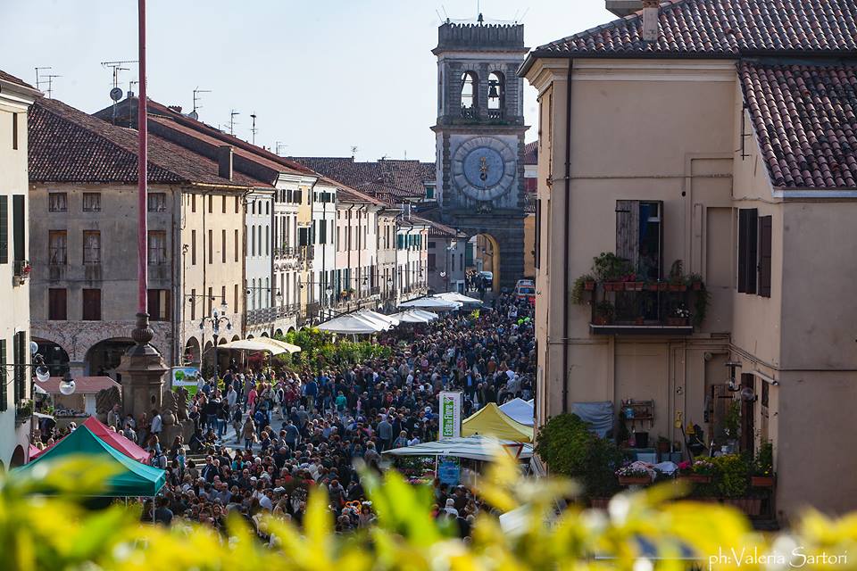 Este in Fiore 2022: avvio gara per organizzazione e gestione in concessione