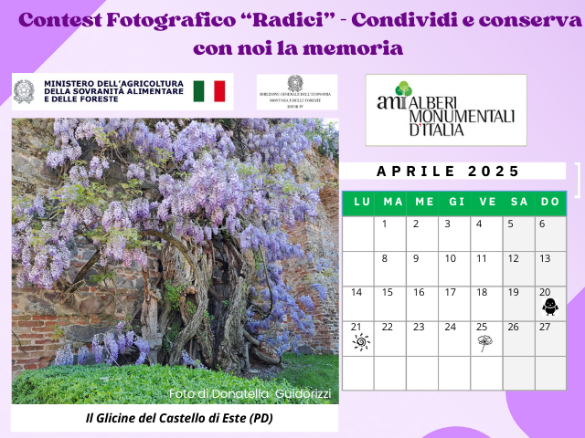 Este nel calendario degli Alberti Monumentali promosso dal Ministero dell’Agricoltura, della Sovranità Alimentare e delle Foreste (MASAF)