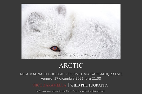 "Arctic": incontro fotografico con Nico Zaramella - 17 dicembre