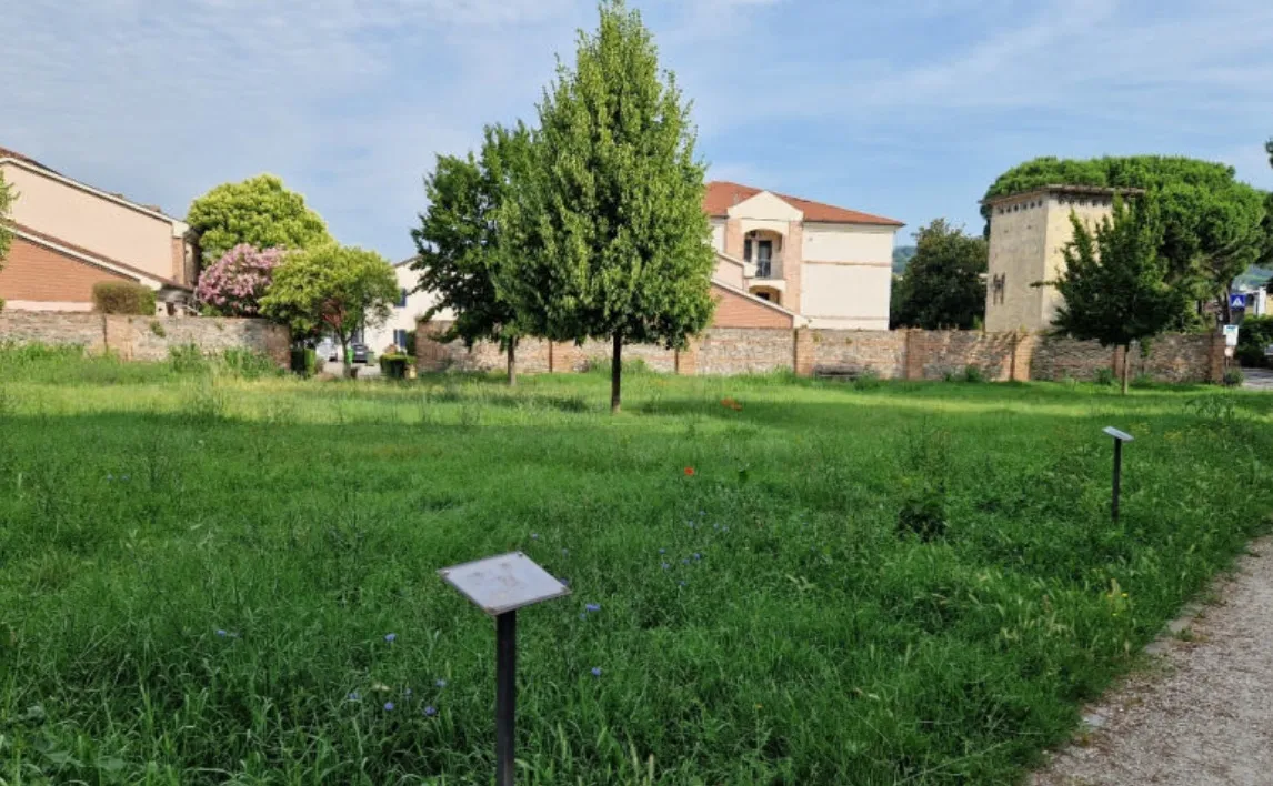 A breve inizieranno gli interventi di completamento della bonifica nell’area verde Parco Mario Rigoni Stern