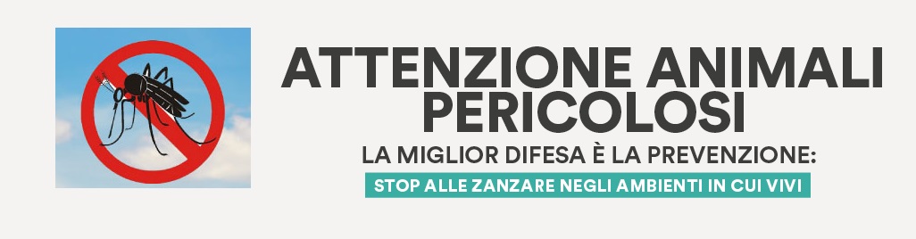 Prosegue la lotta alla zanzara 