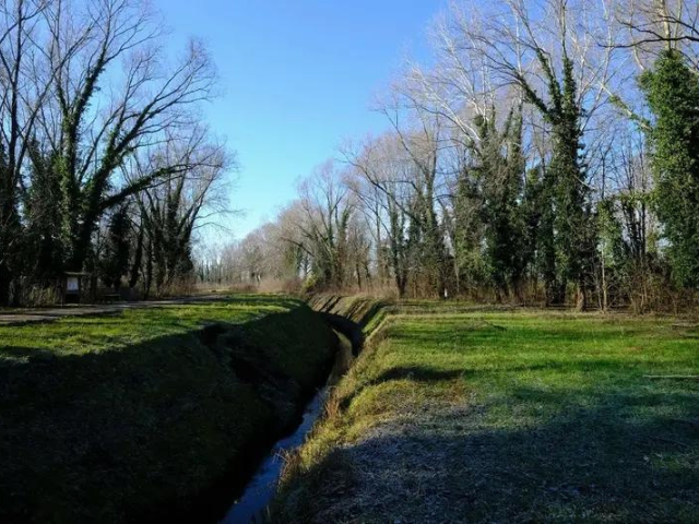 Oasi della Restara: temporanea chiusura del ramo destro martedì 23 gennaio