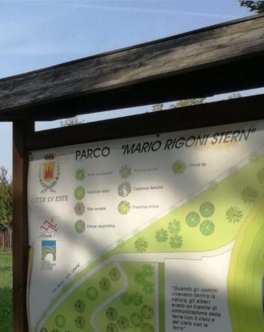 Iniziano gli interventi di bonifica nell’area verde Parco Mario Rigoni
