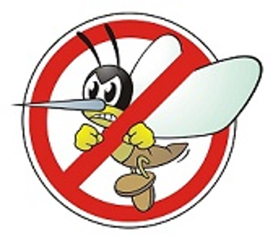 Zanzare: interventi di disinfestazione adulticida preventiva