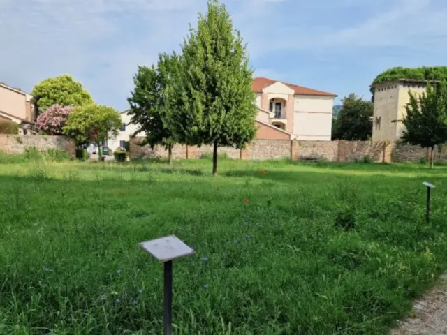 A breve inizieranno gli interventi di completamento della bonifica nell’area verde Parco Mario Rigoni Stern