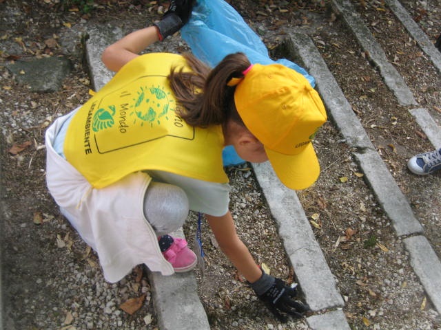immagine3