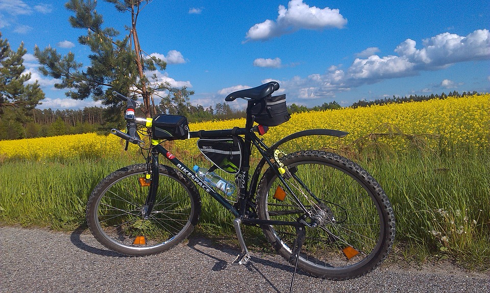 Completamento Pista Ciclabile Este-Ospidaletto Euganeo