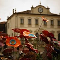 CORONAVIRUS I cittadini sono invitati ad utilizzare i servizi online e a recarsi in Municipio solo per urgenze previo appuntamento. Polisportello chiuso il sabato. 
