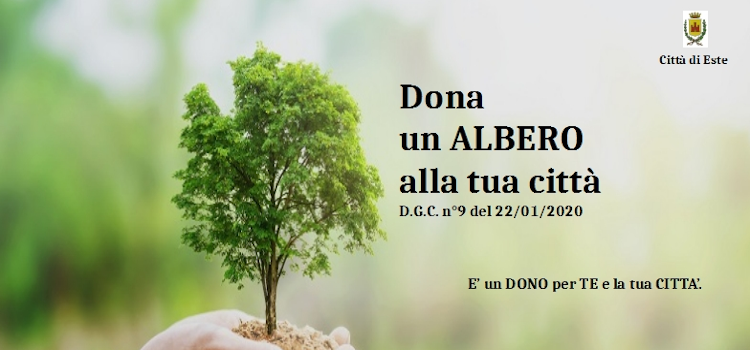 Regala un albero alla tua città!