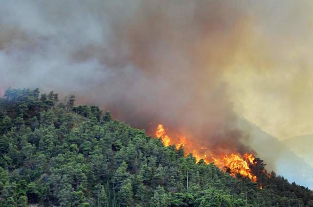 Dichiarazione di stato di grave pericolosità per incendi boschivi